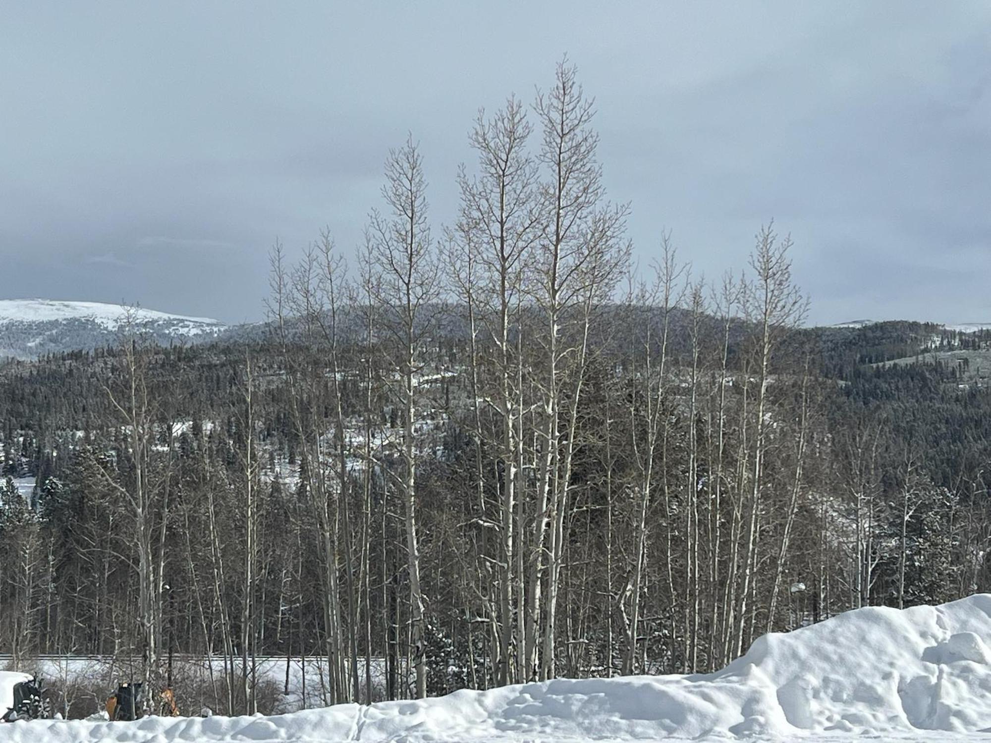 Silverado II Winter Park Eksteriør billede